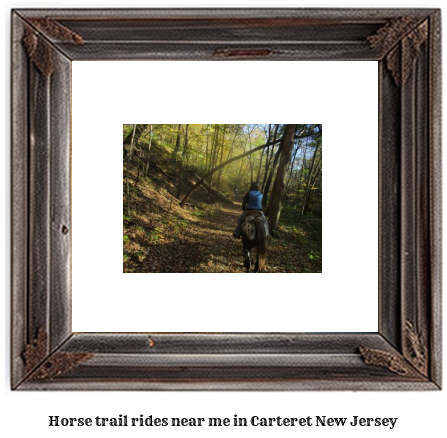 horse trail rides near me in Carteret, New Jersey